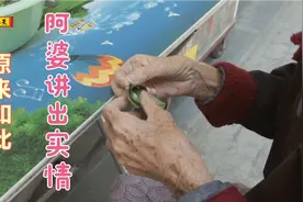 海南人嚼槟榔“满嘴是血”为啥还喜欢吃？并非上瘾，其实另有功效视频封面