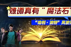 真实记录，是否需要购买“哈利•波特”图书跟孩子产生的一次纠纷视频封面
