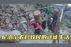 尼泊尔山区一妻两夫家庭，每隔一段时间就迁徙，寻找水草丰美之地视频封面