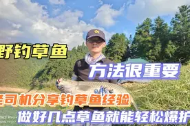 钓草鱼的六大技巧，无论是黑坑还是野钓，做到这几点，狂拉到手软视频封面