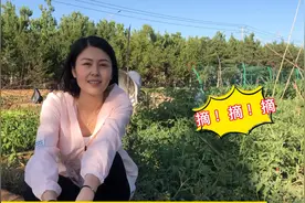 小菜园终于到了收获的时候喽，拔萝卜、拔大葱、摘辣椒，太过瘾了视频封面