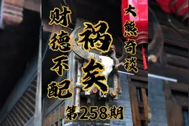 大熊奇谈 命里有时终须有 命里无时莫强求 德不匹位必起灾殃258期视频封面