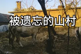 实拍山东省临沂市莒南县的农村