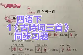四年级语文下册：1《古诗词三首》同步习题讲解分析，学习与巩固视频封面