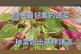 颜色最漂亮的蔬菜，一种菜吃出两种味道