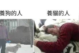 冬天早上的6点，养狗跟养猫的区别...（沙雕梗图系列第21期）视频封面