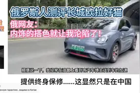 俄罗斯人测评长城欧拉好猫，俄网友：仅内饰搭色就让我沦陷了！视频封面