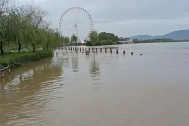 汉中市城区：受暴雨影响，导致汉江沿岸的部分区域被大水淹没！视频封面