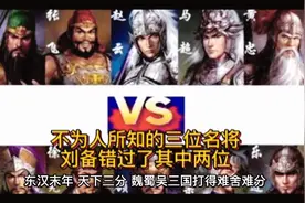 三国时期曹魏不为后世所熟悉的三位守边名将，其中两位被刘备错过视频封面