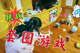 妈妈在家摆套圈游戏，小鱼儿和爸爸1人10次，没想到柴犬被套走了视频封面