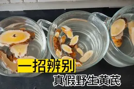 绝招，上当受骗买到假野生黄芪？野生黄芪泡水漂浮？种植下沉？视频封面