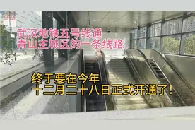 青山人民喜大普奔的日子来了！五号线十二月二十八日要开通运营！视频封面
