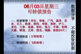 6月3日可转债预告，24只可转债不能转股，其实也没关系！视频封面
