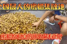 蜜蜡真的那么稀有吗？全国最大的蜜蜡集散地，这里原石几块钱一克视频封面