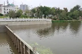 三线城市商丘市运河上游蓄水三米多形成天然湖泊引无数钓鱼者垂钓视频封面