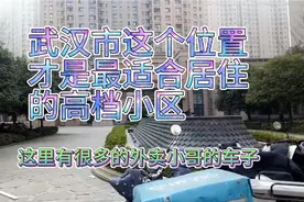 武汉市这里的小区居住环境不错，还有没有比这里更值得推荐的呢？视频封面