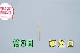 手杆6米3，水深3米，5号袖钩，双钩挂蚯蚓钓3目，高清鲫鱼漂相视频封面
