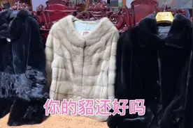 车姐一件8万一件10万的貂皮大衣现在怎么样了视频封面