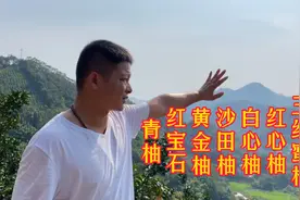 走进广西沙田柚之乡，品种琳琅满目，到底哪个品种更好吃？视频封面