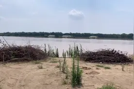 河南郑州暴雨流经黄河第三天，水又涨到岸边，水流水速还很快