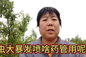 桃农朋友，蚜虫大暴发到底喷啥药管用呢，听一下我的建议再看效果视频封面