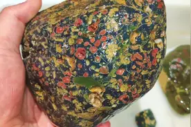 洛阳古河道捡到块缠丝梅花石，上面全是鸡血红的梅花，太难得了视频封面