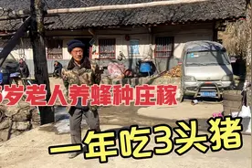 去大巴山深处收蜂蜜、76岁老人一家款待丰盛午餐、他一年吃三头猪视频封面