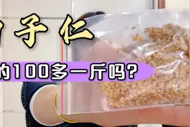 贰蒙告诉你怎么识别柏子仁，和枣仁比起来市场价只要100多？视频封面