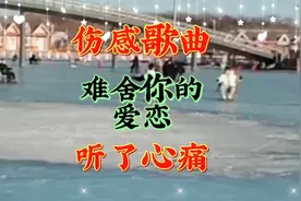 伤感歌曲，难舍你的爱恋，听到心痛视频封面