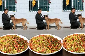 狗狗的寿命只有十几年，不足以陪伴我们一生；却比人类的善良更长视频封面