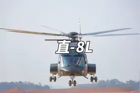 填补空白的超级运输直升机 中国版超级种马来了视频封面