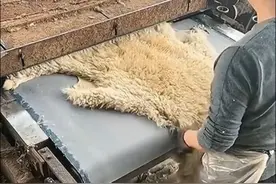 羊毛清洗，原来是这样清洗的！视频封面