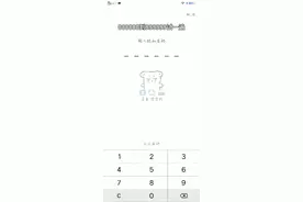 ViVO手机隐私密码忘了怎么办在线等挺急的。