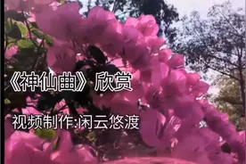 道家音乐《神仙曲》超凡脱俗，字字珠玑，唱得我都想入道去了