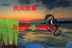 乌拉草由来，关东三宝鹿茸人参乌拉草，黄龙白龙黑龙领地争夺……