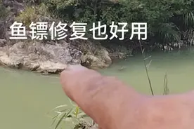 射鱼教程，正确使用鱼镖校正视频封面