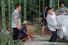 宜黄县，圳口乡，郊沅村自来水视频封面