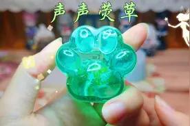 流沙猫爪——女儿喜欢绿色，于是老爸来找我安排上了！