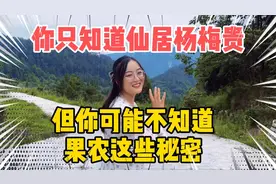 浙江仙居杨梅价格特别贵，你可能不知道果农告诉我的这些秘密视频封面