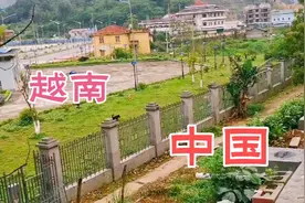 中国和越南两国交界处，中越边境广西龙邦口岸，铁丝网也防不住