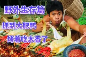 野外生存篇，越南小伙抓到两只大肥鸭，烤着吃太香了