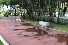 400米自由跑！看看你要多少分钟！视频封面