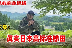 日本农业为何如此发达？一起来看看他们的高标准梯田建设，实拍！视频封面