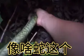 老人说有天南星七步内必出毒蛇，看我们冒险掏起来的东西，很震撼