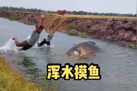 快来看看大表哥特制抓鱼工具，真是一抓一个准！视频封面