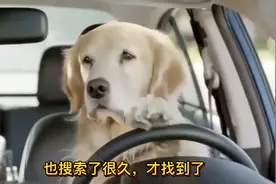 这样可以找到西瓜或头条的“在线客服”视频封面