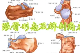 跟骨形态及解剖角度视频封面