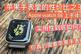 Apple Watch SE上手体验，你真的需要苹果手表吗视频封面