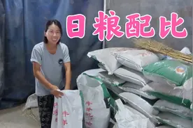 双双喂牛日粮配比公布，每天只吃这3样，60头牛每天要花多少钱？视频封面
