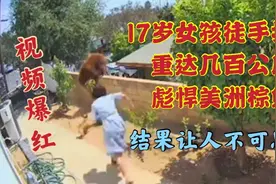 女孩徒手大战几百公斤重的彪悍棕熊，竟然赢了，让人不可思议！视频封面